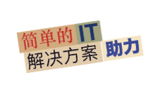 世服宏图中国（上海、北京）提供经验丰富的IT技术支援。